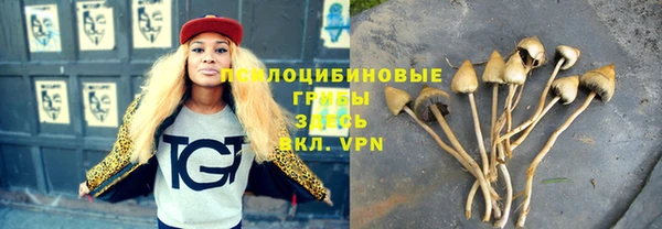 твердый Кущёвская