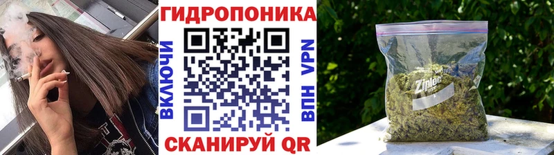 Купить где  Яранск  Конопля White Widow 